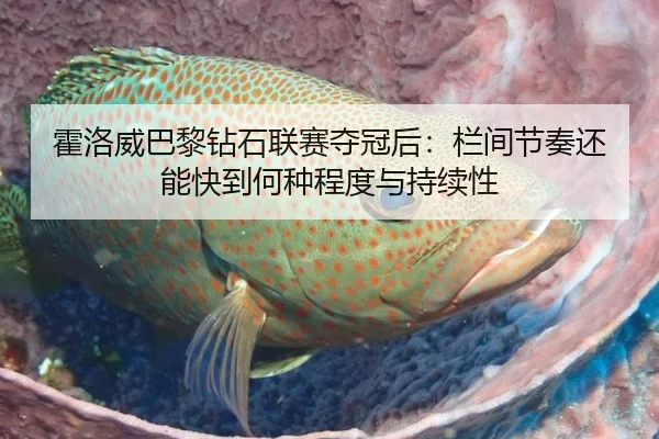 霍洛威巴黎钻石联赛夺冠后：栏间节奏还能快到何种程度与持续性